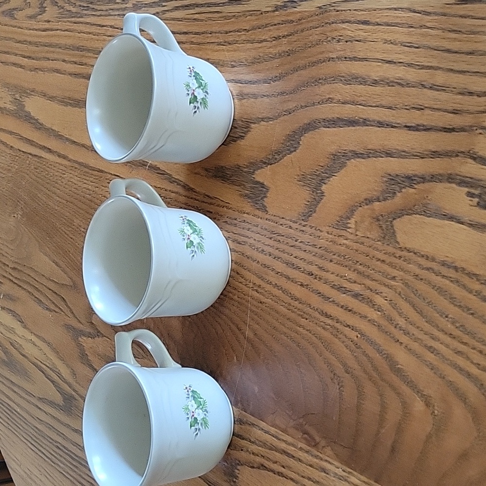PFALZGRAFF WINTERBERRY CUPS